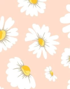 'Daisy Bloom' Wallpaper By Wallshoppe - Peach 9 'Daisy Bloom' Wallpaper By Wallshoppe - Peach -Wall Decoration Store DaisyBloom Peach detail 9f1695a9 1014 4814 b288 15ed871bc3cc