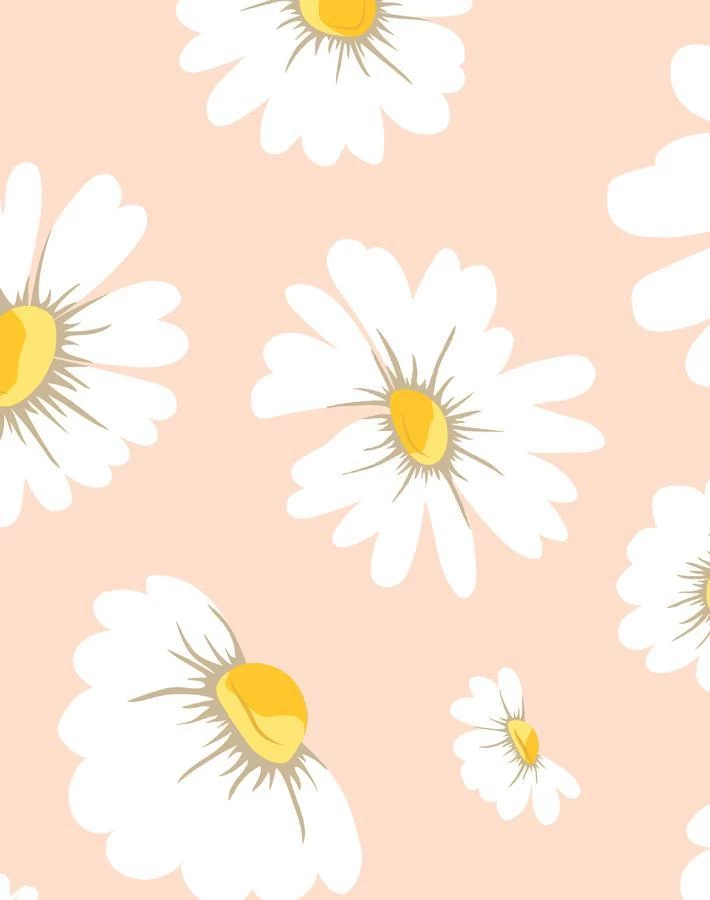 'Daisy Bloom' Wallpaper By Wallshoppe - Peach 6 'Daisy Bloom' Wallpaper By Wallshoppe - Peach - Image 4