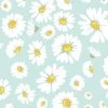 'Daisy Bloom' Wallpaper By Wallshoppe - Seafoam