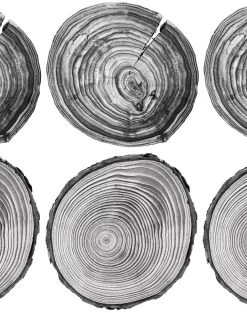 'Deux Bois' Wallpaper By Nathan Turner - Onyx