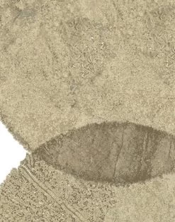 'Large Dumbo' Wallpaper By Chris Benz - Latte -Wall Decoration Store DumboLarge detail.ltte b7613eb2 15cf 4042 91d9 c31790b4304e