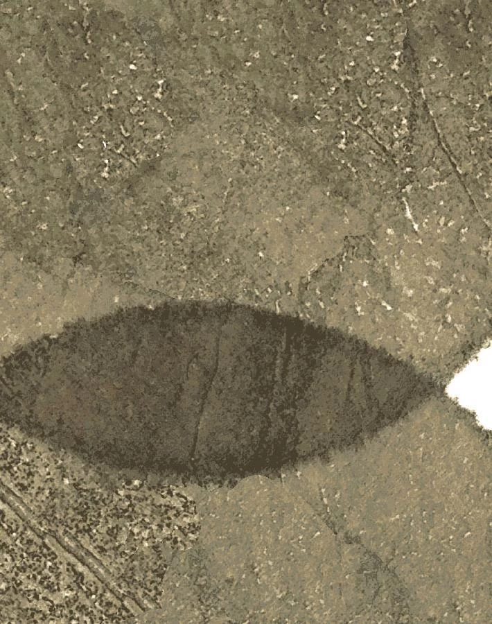 'Large Dumbo' Wallpaper By Chris Benz - Umber 5 'Large Dumbo' Wallpaper By Chris Benz - Umber - Image 3