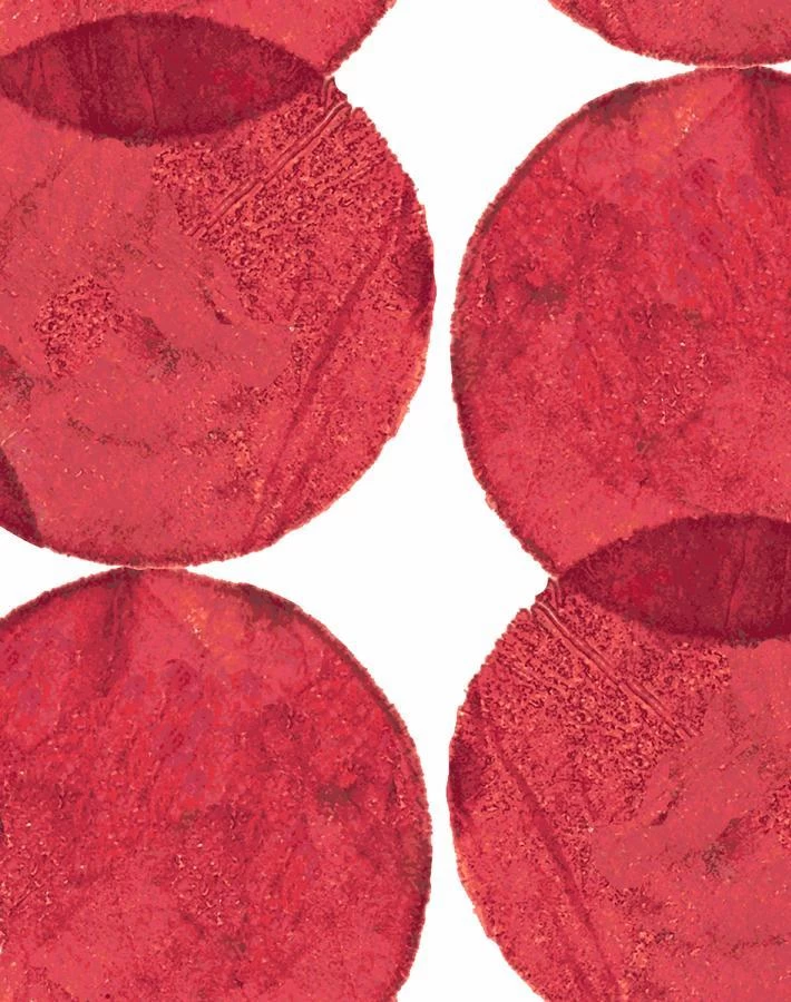 'Small Dumbo' Wallpaper By Chris Benz - Red 5 'Small Dumbo' Wallpaper By Chris Benz - Red - Image 3