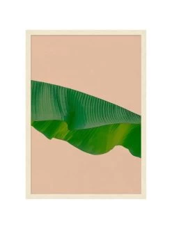 'Editorial Vegitation 1' By Nathan Turner Framed Art