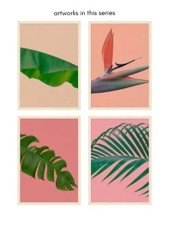 'Editorial Vegitation 2' By Nathan Turner Framed Art -Wall Decoration Store Editorial Vegitation 2 RS