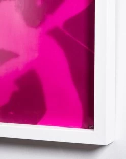 'Magenta 'El Quijote' Framed Art By Chris Benz -Wall Decoration Store El Quijote Magenta by Nathan Turner Detail