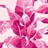 'Electric Palm' Wallpaper By Nathan Turner - Pink