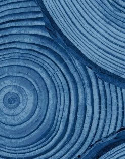 'Faux Bois' Wallpaper By Nathan Turner - Blue -Wall Decoration Store FauxBois BLUE detail 36b332c7 2547 44fc b5de 79af3902b529