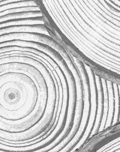 'Faux Bois' Wallpaper By Nathan Turner - Grey -Wall Decoration Store FauxBois GRAY detail d07b02db 73ca 475f 8f8f 54f48bd87197