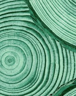 'Faux Bois' Wallpaper By Nathan Turner - Hunter Green 8 'Faux Bois' Wallpaper By Nathan Turner - Hunter Green -Wall Decoration Store FauxBois GREEN detail a7f33807 1877 4d4f b3f9 c9e5ab2a86bb