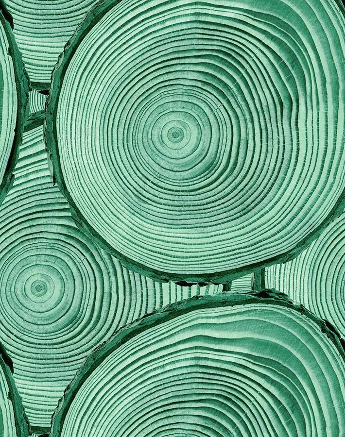 'Faux Bois' Wallpaper By Nathan Turner - Hunter Green 6 'Faux Bois' Wallpaper By Nathan Turner - Hunter Green - Image 4