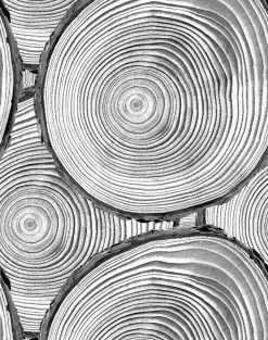 'Faux Bois' Wallpaper By Nathan Turner - Onyx -Wall Decoration Store FauxBois ONYX web 0afdfbd8 93fa 4747 9c83 c9a145250937