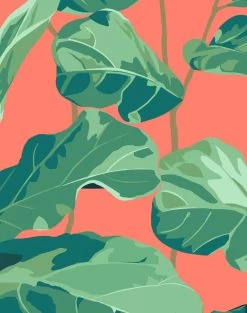 'Fiddle Fig' Wallpaper By Nathan Turner - Watermelon 7 'Fiddle Fig' Wallpaper By Nathan Turner - Watermelon -Wall Decoration Store FiddleFig watermelon.DETAil 98f6f352 8919 4c89 aca3 75de05bfdacb