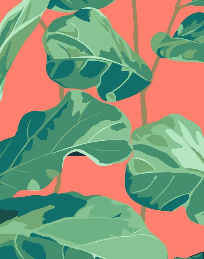 'Fiddle Fig' Wallpaper By Nathan Turner - Watermelon 5 'Fiddle Fig' Wallpaper By Nathan Turner - Watermelon - Image 3