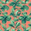 'Fiddle Fig' Wallpaper By Nathan Turner - Watermelon -Wall Decoration Store FiddleFig watermelonWEB 7a4e2b85 18dd 42dd ba91 34e86b4bebdf
