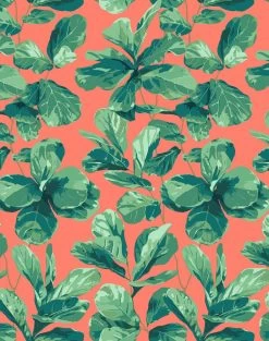 'Fiddle Fig' Wallpaper By Nathan Turner - Watermelon