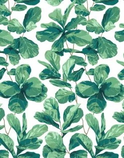 'Fiddle Fig' Wallpaper By Nathan Turner - White