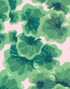 'Geranium Leaves' Wallpaper By Nathan Turner - Ballet Slipper -Wall Decoration Store Geranium Leaves Ballet Slipper detail 84e8a625 2fe1 49bf 97fc a91cc2e7a47d