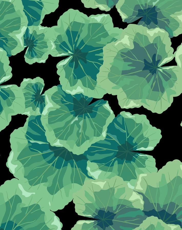 'Geranium Leaves' Wallpaper By Nathan Turner - Onyx 4 'Geranium Leaves' Wallpaper By Nathan Turner - Onyx - Image 2