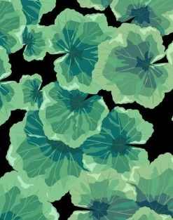 'Geranium Leaves' Wallpaper By Nathan Turner - Onyx 9 'Geranium Leaves' Wallpaper By Nathan Turner - Onyx -Wall Decoration Store Geranium Leaves Onyx detail 870f83c0 8712 4a53 9ac8 3cec1e557c90