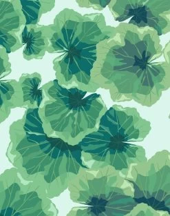 'Geranium Leaves' Wallpaper By Nathan Turner - Robins Egg 9 'Geranium Leaves' Wallpaper By Nathan Turner - Robins Egg -Wall Decoration Store Geranium Leaves RobinsEgg detail 93d9084d 6e81 48ae 90bc 641b3c0756bc
