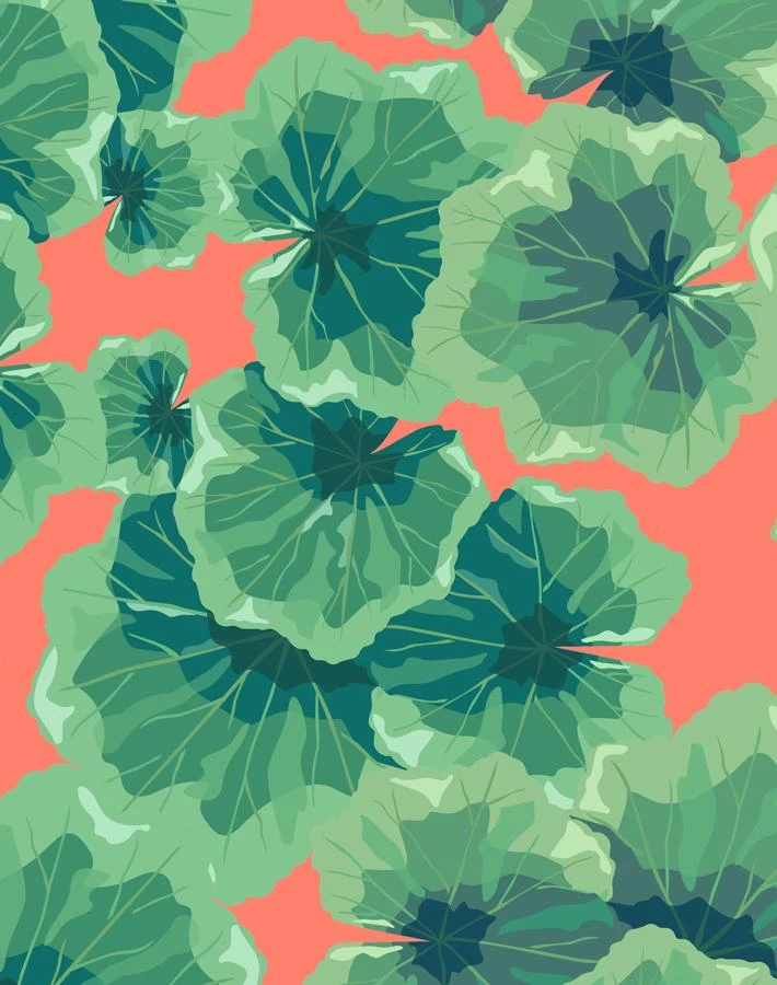 'Geranium Leaves' Wallpaper By Nathan Turner - Watermelon 6 'Geranium Leaves' Wallpaper By Nathan Turner - Watermelon - Image 4