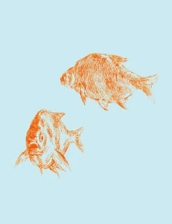 'Goldfish' Wallpaper By Nathan Turner - Glacier -Wall Decoration Store Goldfish product GlacierBlue forWEB detail 5c8be595 d9ef 4727 8ef8 4935cccac99b