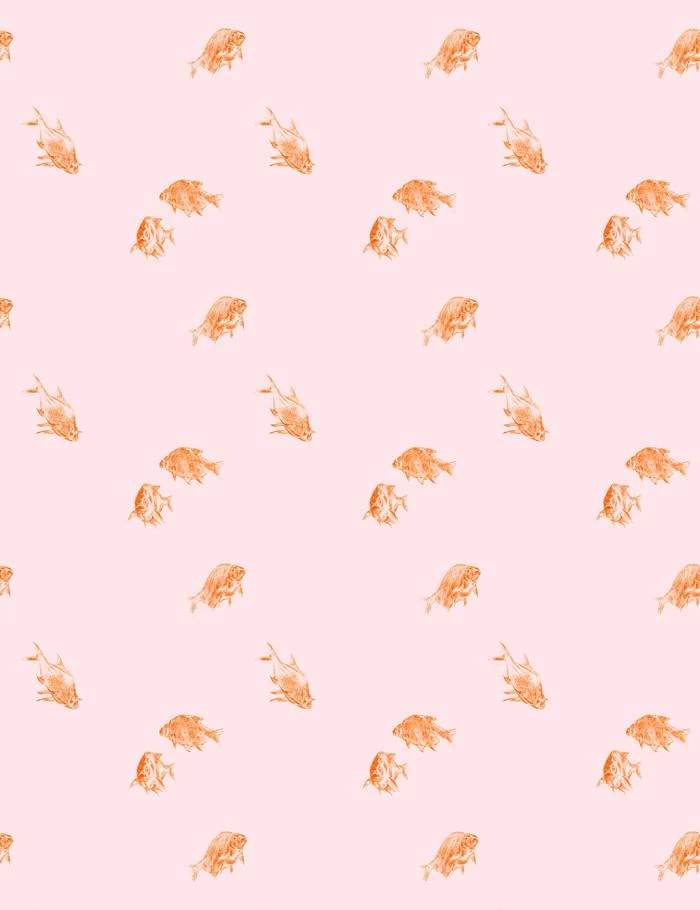 'Goldfish' Wallpaper By Nathan Turner - Pink 3 'Goldfish' Wallpaper By Nathan Turner - Pink