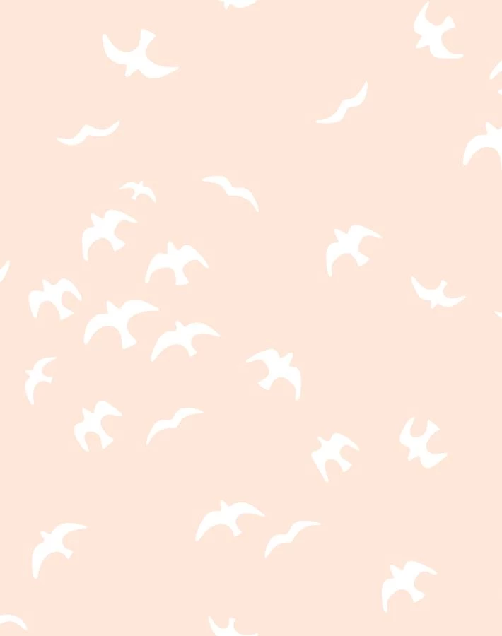 'Gulls' Wallpaper By Tea Collection - Peach 3 'Gulls' Wallpaper By Tea Collection - Peach
