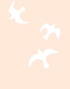 'Gulls' Wallpaper By Tea Collection - Peach 7 'Gulls' Wallpaper By Tea Collection - Peach -Wall Decoration Store Gulls Peach detail e1cba980 626c 4c4c a157 7133b6ca154a
