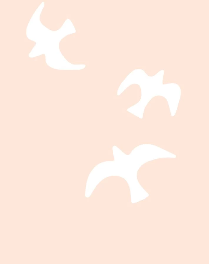 'Gulls' Wallpaper By Tea Collection - Peach 5 'Gulls' Wallpaper By Tea Collection - Peach - Image 3