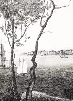 'Hudson Bay' Etching Removable Mural -Wall Decoration Store HudsonBayEtching Detail