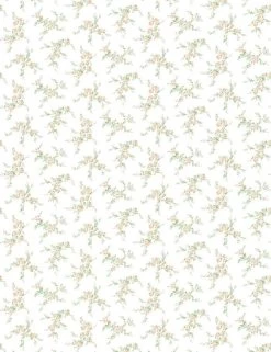 'Jolene' Wallpaper By Wallshoppe - Peach 9 'Jolene' Wallpaper By Wallshoppe - Peach -Wall Decoration Store Jolene product Peach forWEB e87f3e37 1cca 477e 8b6f c9ee3ed0c86c