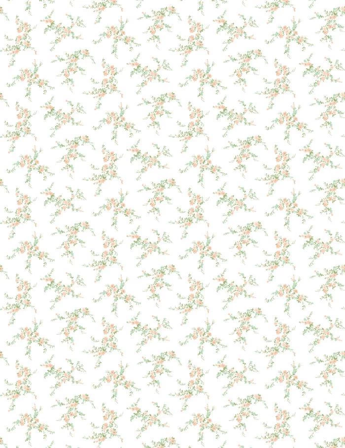 'Jolene' Wallpaper By Wallshoppe - Peach 6 'Jolene' Wallpaper By Wallshoppe - Peach - Image 4