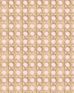 'Faux Large Caning' Wallpaper By Wallshoppe - Ballet Slipper