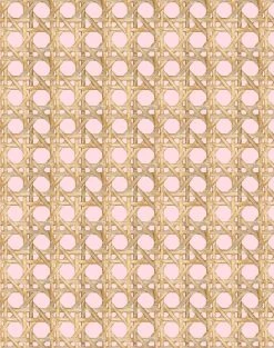 'Faux Large Caning' Wallpaper By Wallshoppe - Ballet Slipper -Wall Decoration Store LargeCaning Ballet Slipper design 60beec40 edaf 4f58 a200 fcd275ef9917