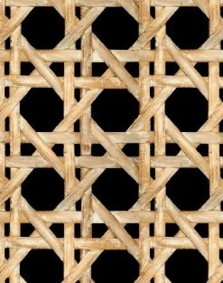 'Faux Large Caning' Wallpaper By Wallshoppe - Onyx -Wall Decoration Store LargeCaning Onyx detail f27c228f 39d0 4c60 9f3d d3d5d875cf10