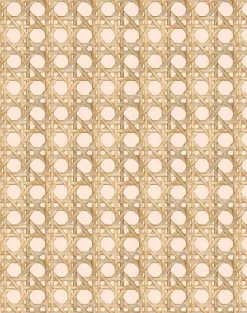 'Faux Large Caning' Wallpaper By Wallshoppe - Peach -Wall Decoration Store LargeCaning Peach design e0de9867 6e24 4bfa b18d e6ceedcdcd26