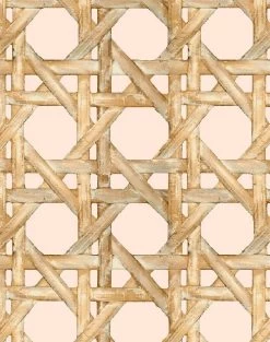 'Faux Large Caning' Wallpaper By Wallshoppe - Peach -Wall Decoration Store LargeCaning Peach detail 5e76a309 7b6a 4686 98f2 e155b9ba04db