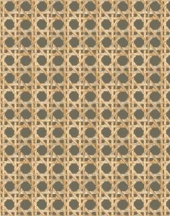 'Faux Large Caning' Wallpaper By Wallshoppe - Umber 8 'Faux Large Caning' Wallpaper By Wallshoppe - Umber -Wall Decoration Store LargeCaning Umber design 63b0038d 526d 4b5b a1a5 f14ddd07b2d1
