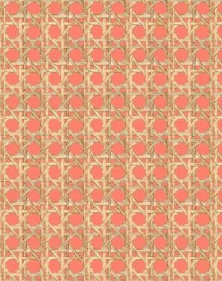 'Faux Large Caning' Wallpaper By Wallshoppe - Watermelon