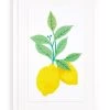 'Lemon Twist' Framed Art By Nathan Turner -Wall Decoration Store Lemon Twist by Nathan Turner
