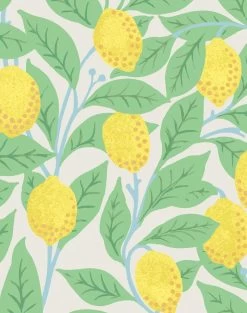 'Lemons' Wallpaper By Nathan Turner - Stone -Wall Decoration Store Lemons duped stone detail 2d3cfa59 ef3a 4db2 a87d 87a912fb1809
