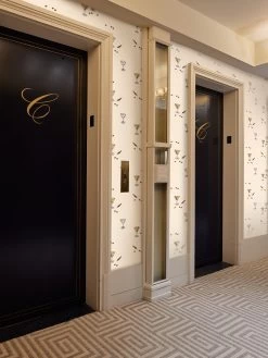 'Martini' Wallpaper By CAB X Carlyle - Lobby White