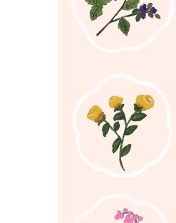 'Montaigne Stripe' Wallpaper By Carly Beck - Peach -Wall Decoration Store Montaigne Stripe Peach detail 04d1ac39 e8fd 495b bdda 192aeb153b2e