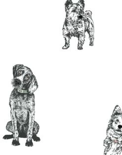 'Mutts' Wallpaper By Nathan Turner - White 8 'Mutts' Wallpaper By Nathan Turner - White -Wall Decoration Store Mutts web Detail white fac10a9e bd7f 4597 b015 55fd1a1d9d5d