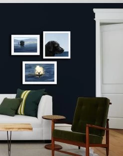 'My Boy Nacho' Framed Art By Nathan Turner 6 'My Boy Nacho' Framed Art By Nathan Turner -Wall Decoration Store My Boy Nacho by Nathan Turner 22c6d552 b662 4ffa 9680 cbd440b20e35