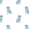 'Otus The Owl' Wallpaper By Wallshoppe - Cadet Blue On White -Wall Decoration Store New Owl Cadet Blue product web f1268d64 c5a5 46c1 9b1c c319093c87b7