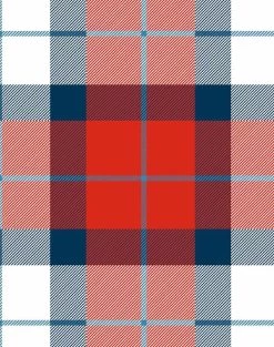 'Oban Plaid' Wallpaper By Wallshoppe - Red Blue 8 'Oban Plaid' Wallpaper By Wallshoppe - Red Blue -Wall Decoration Store ObanPlaid forweb detail redblue f2326830 414c 43e7 98b8 a71184bc4968