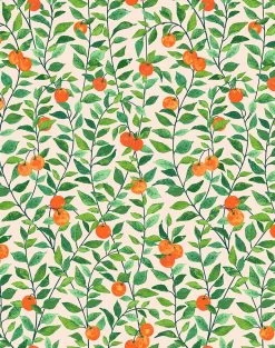 'Orange Crush' Wallpaper By Nathan Turner - Peach